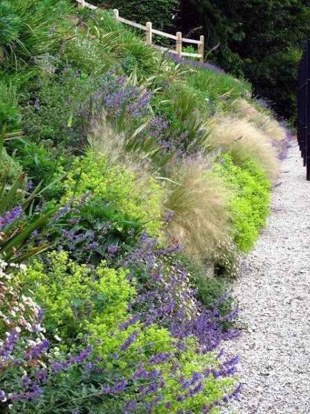 Sloped landscape with vibrant green plants, ornamental grasses, purple flowers, and a gravel walkway for a natural and colorful look