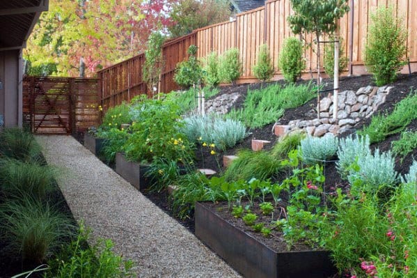 Sloped garden with tiered raised beds, lush greenery, gravel walkway, and a wooden fence for a modern, organized landscape design