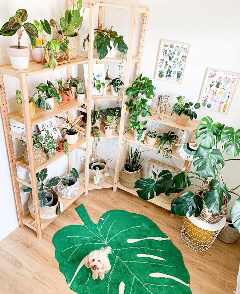 wood shelves used as plant garden leaf floor mat