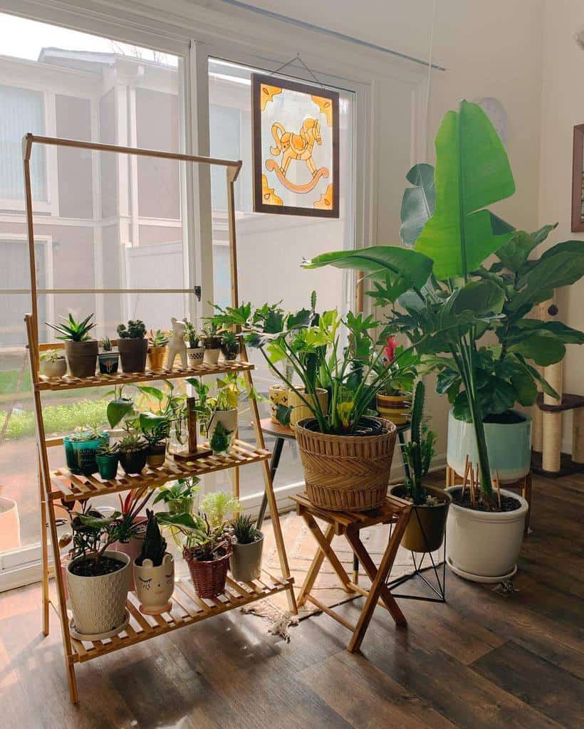 plant shelf stand indoor garden 