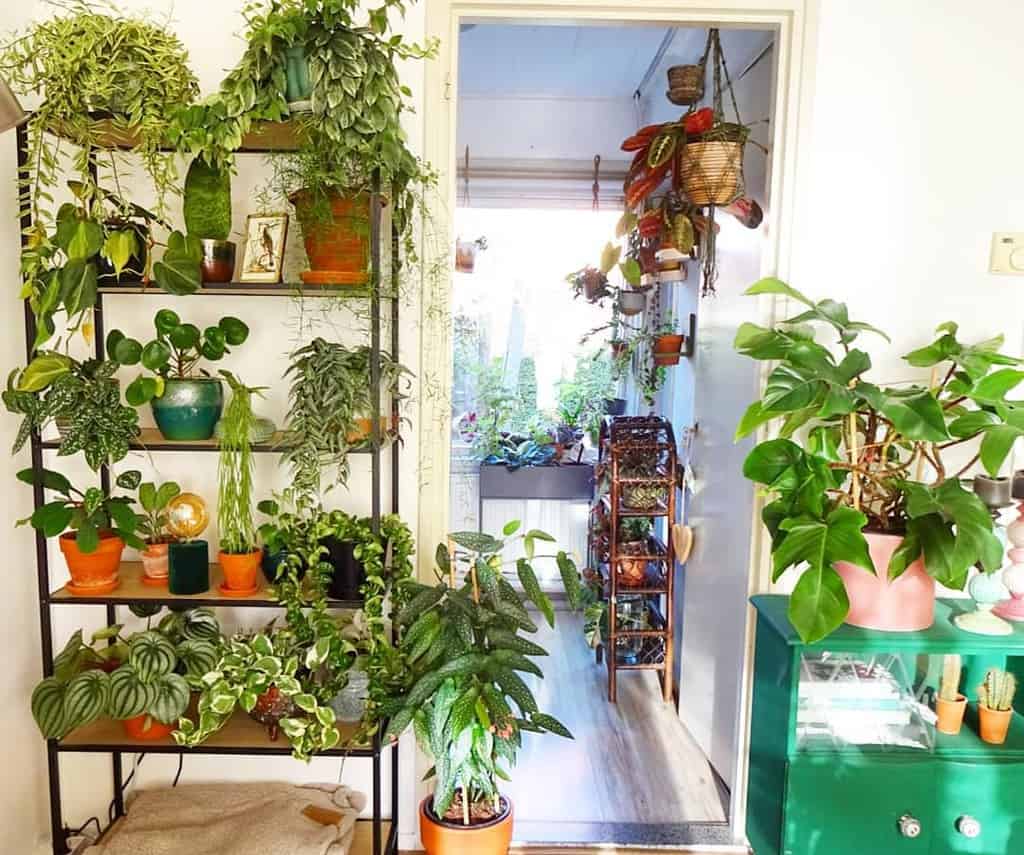 plant stand with shelves indoor garden hanging pots 