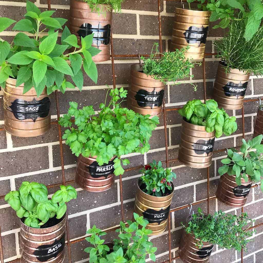 wire pot plant wall hanging planter herb garden