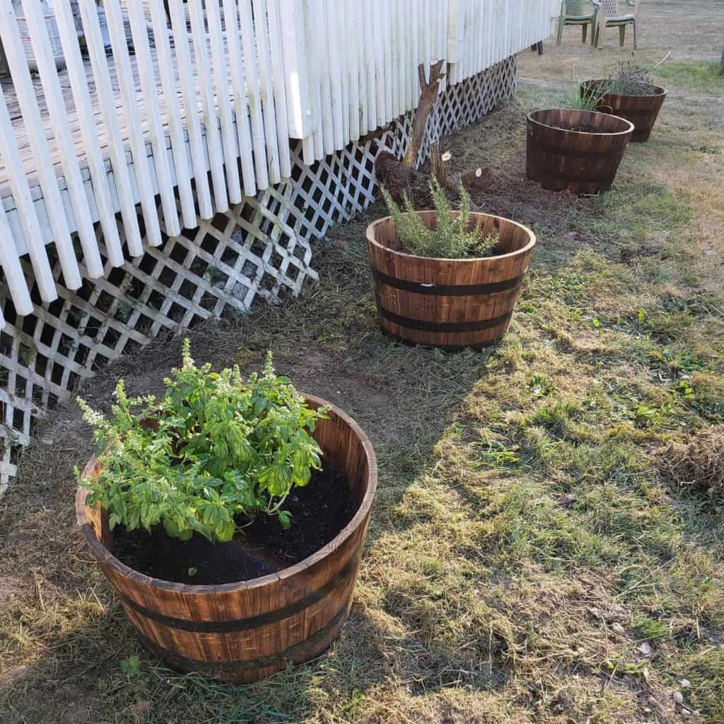half wine barrel planters herb garden