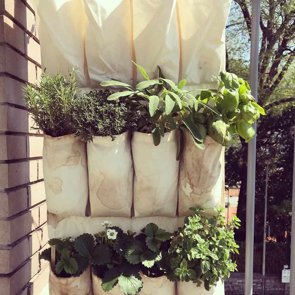 hanging planter herb garden