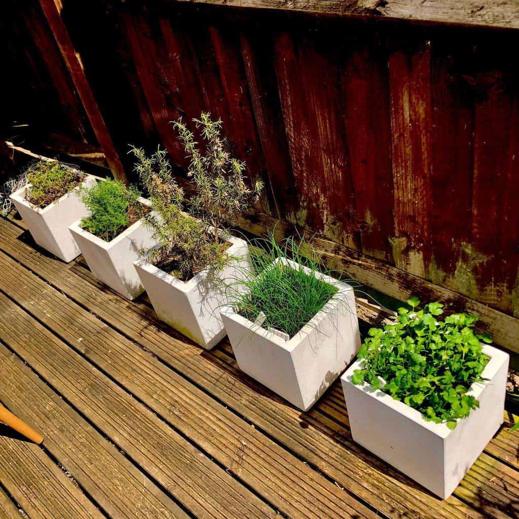 white stone square pot plants
