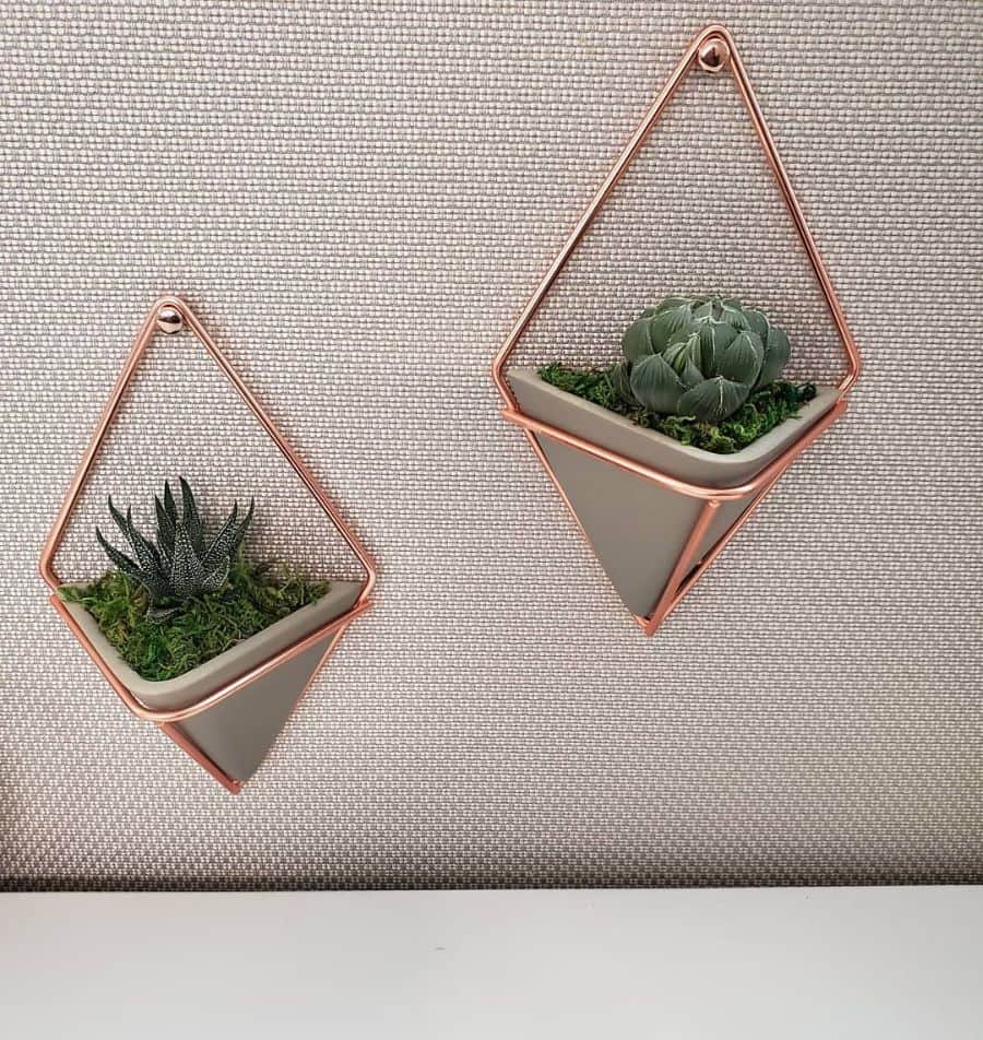 hanging plants office