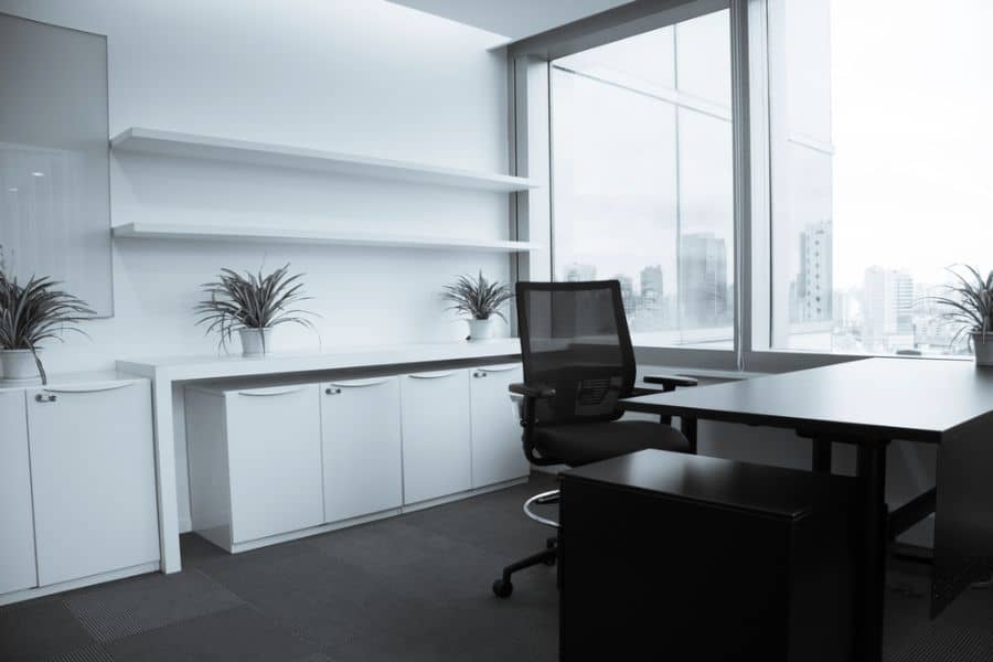 spacious modern office plants