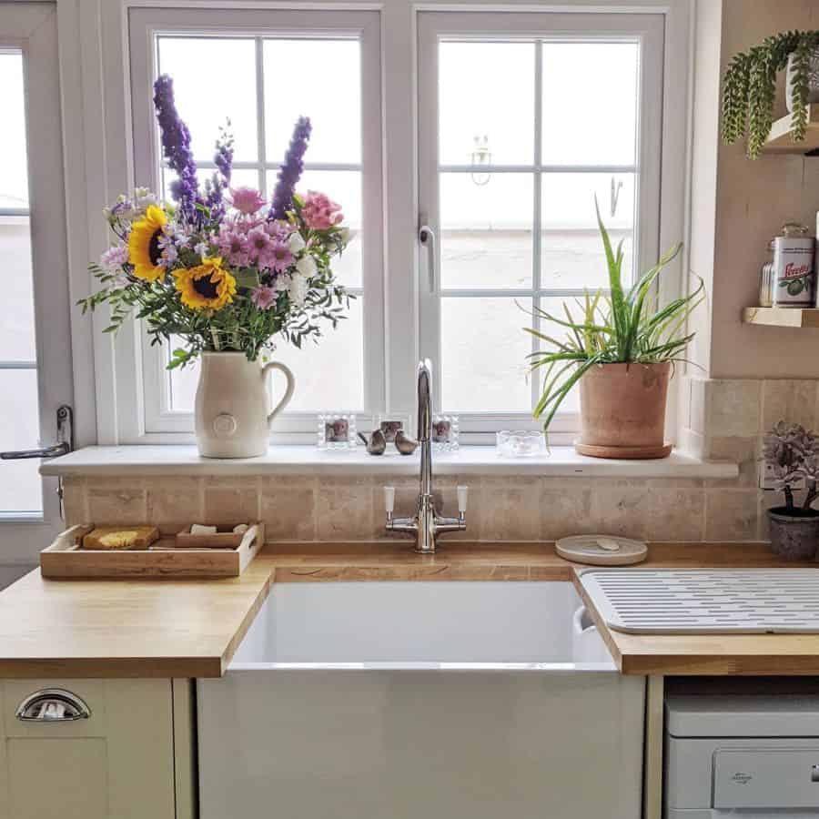plants kitchen windowsill apron sink