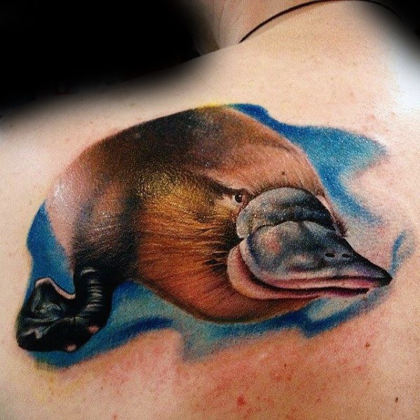 Platypus Tattoo Design Ideas For Males On Upper Back