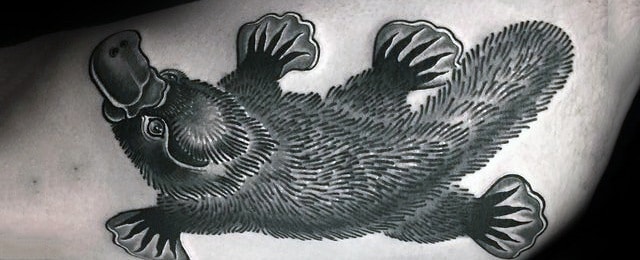 Platypus Tattoo Designs For Men