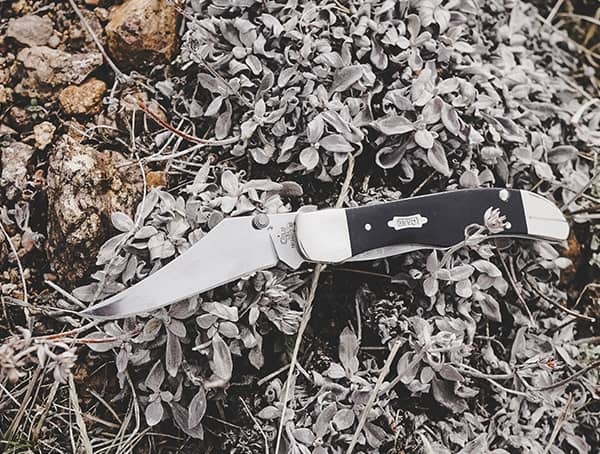 Pocket Knives Case Kickstart Mid Folding Hunter Review