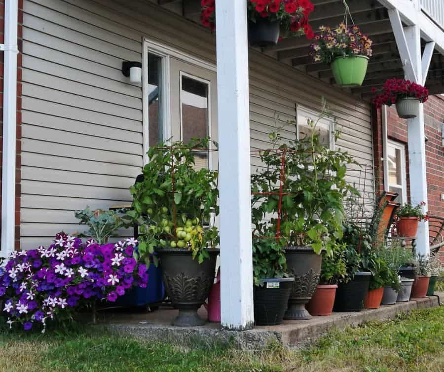 A porch with potted plants, including blooming flowers and green tomato plants, and a hanging basket adds color above