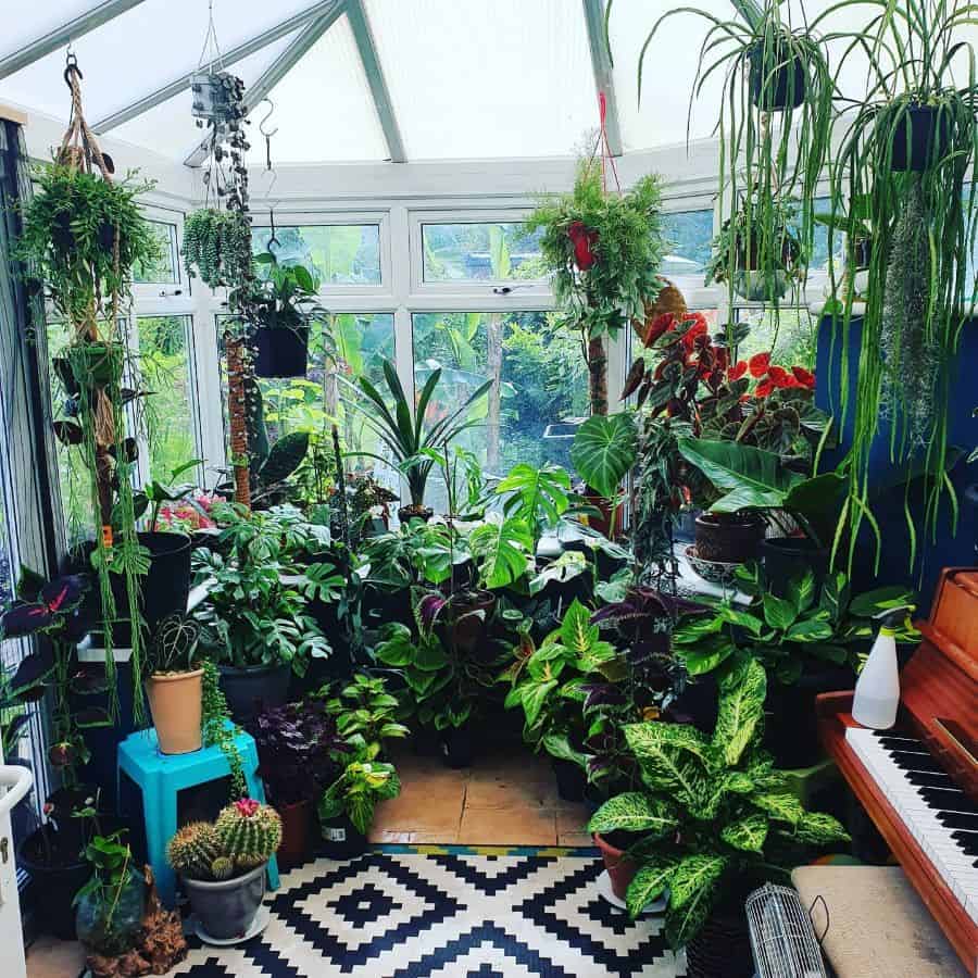 white frame greenhouse pot plants piano blue stool