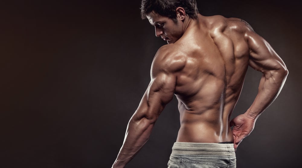 strong athletic man fitness model posing back muscles
