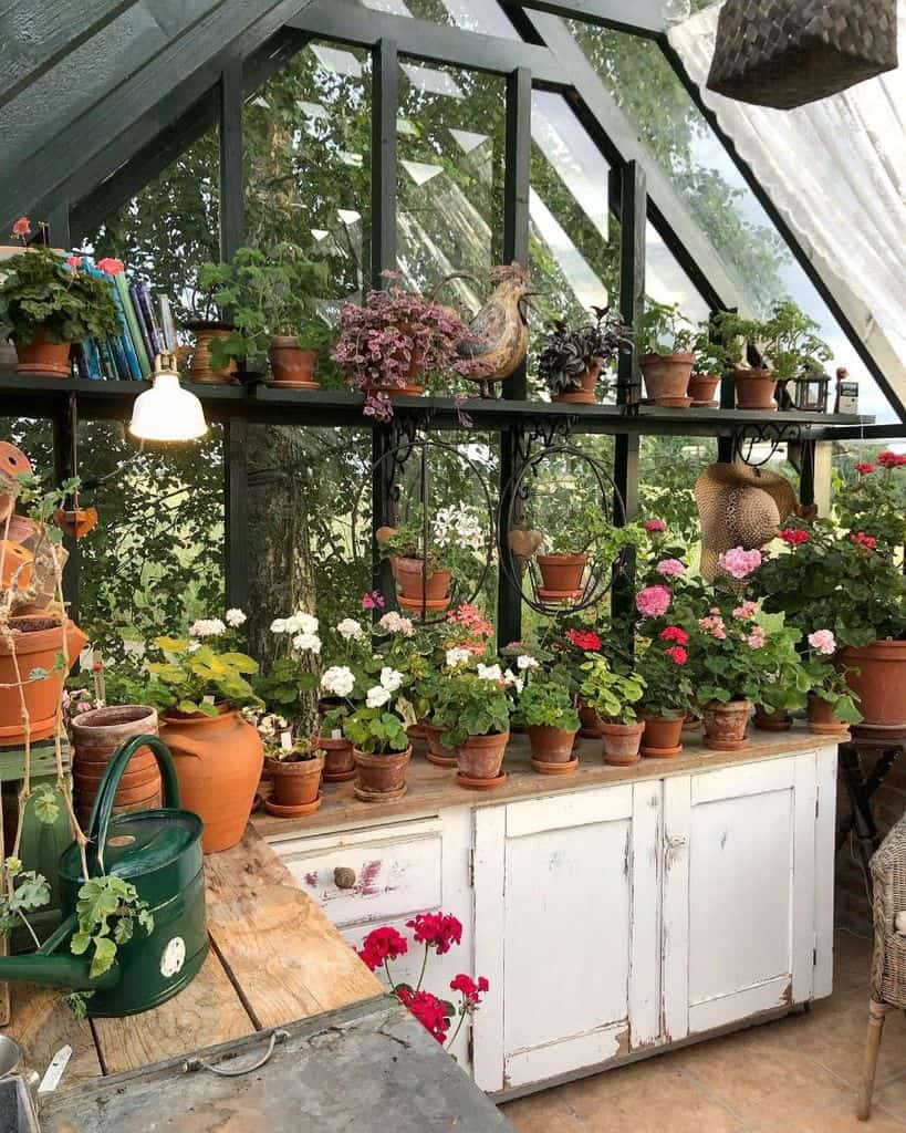 potting shed greenhouse ideas white cabinet terracotta pot plants