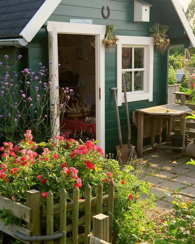 small green she shed in backyard