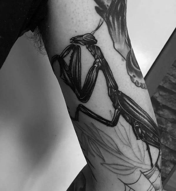 Praying Mantis Guys Tattoo Designs