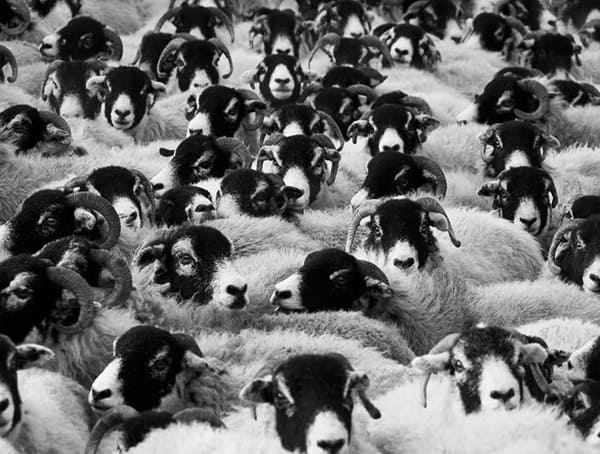 Public Opinon Life Lessons For Men