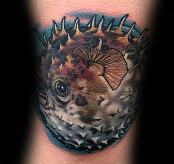 Realistic pufferfish tattoo with detailed textures, rich shading, and lifelike colors, creating a striking and three-dimensional underwater effect.