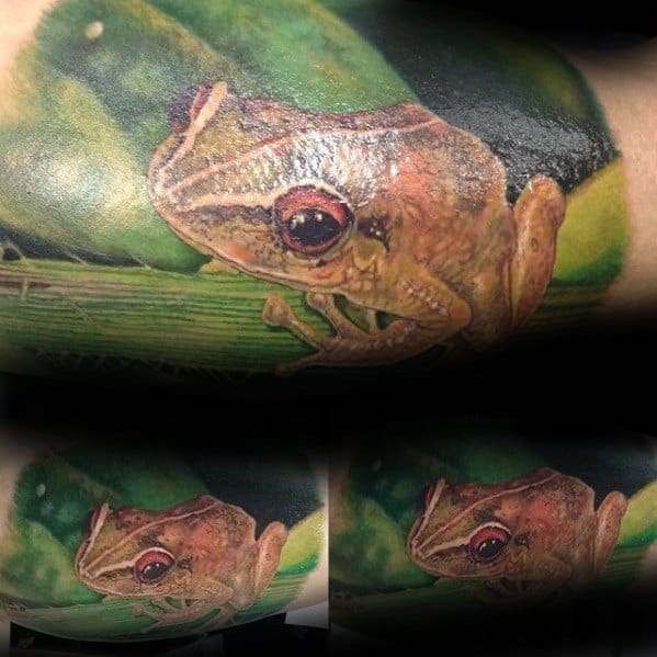 Quarter Arm Sleeve Tree Frog Mens Tattoo Ideas