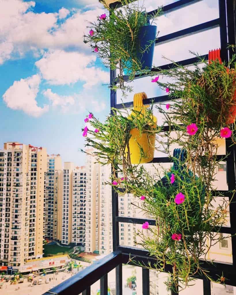 Railing planter balcony garden with vibrant flowers in colorful pots and a city view.
