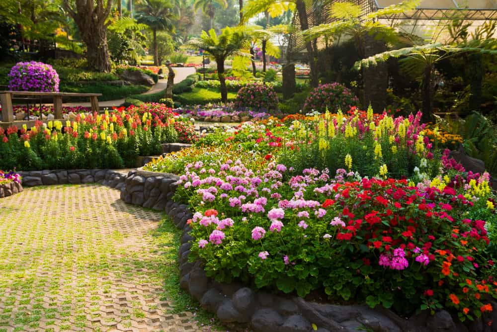 raised bed flower garden colorful flowers