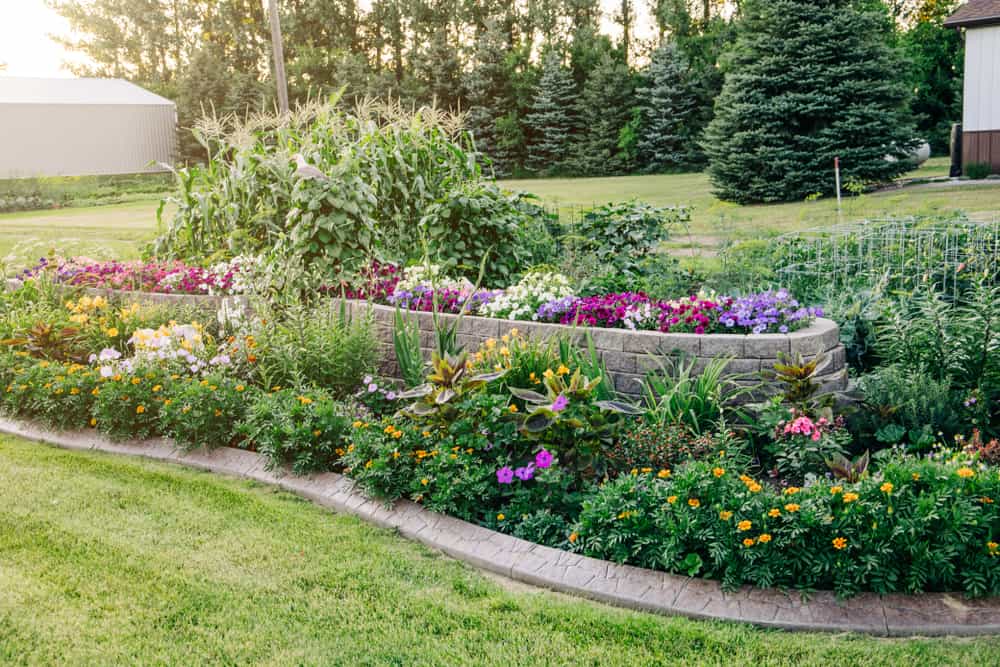raised colorful bed flower garden ideas stone wall