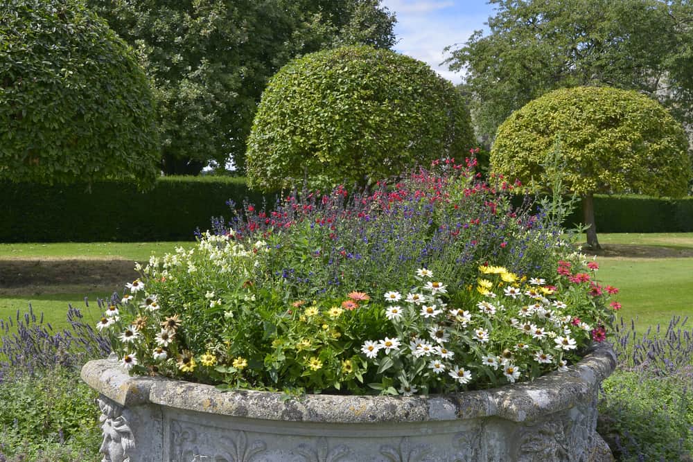 raised bed stone planter flower garden