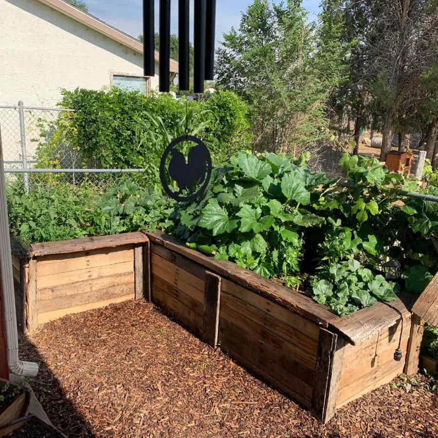 raised wood bed plant box pallet garden 