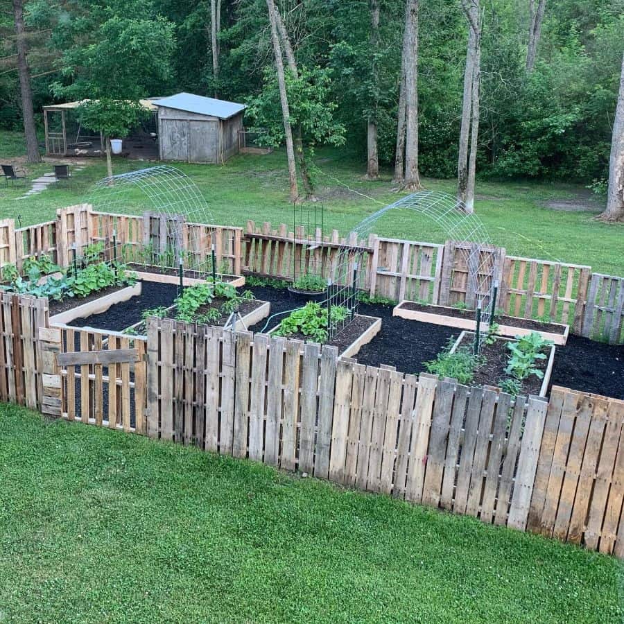 fenced off pallet garden backyard 