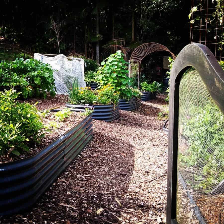 raised bed vegetable garden made from aluminum