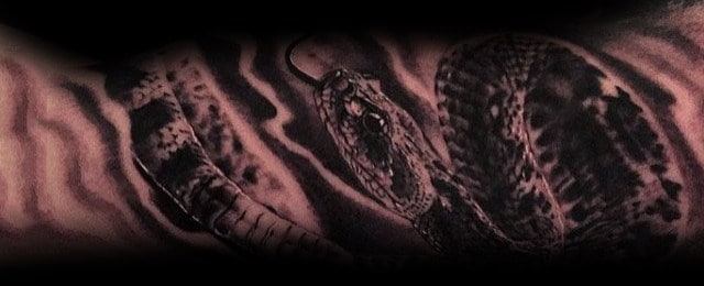 Rattlesnake Tattoo Designs For Men