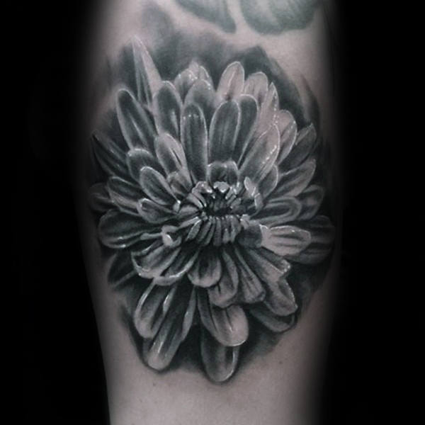 Realistic 3d Chrysanthemum Flower Shaded Black And White Male Arm Tattoo