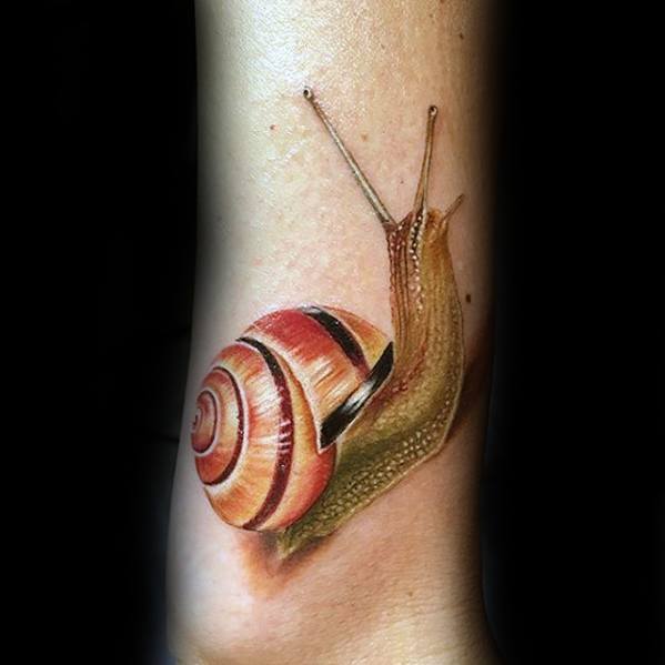 Realistic 3d Snail Tattoo Designs For Guys