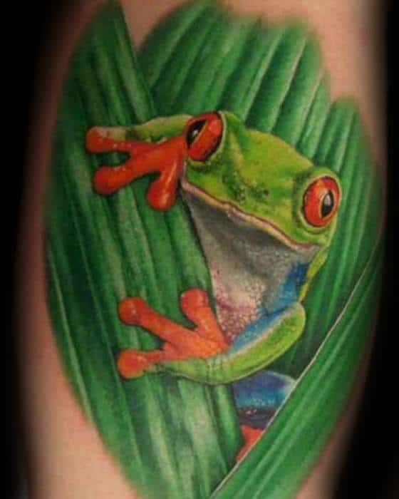 Realistic Arm Cool Male Tree Frog Tattoo Designs