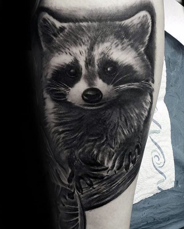 Realistic Black And Grey Ink Male Shaded Raccoon Tattoos