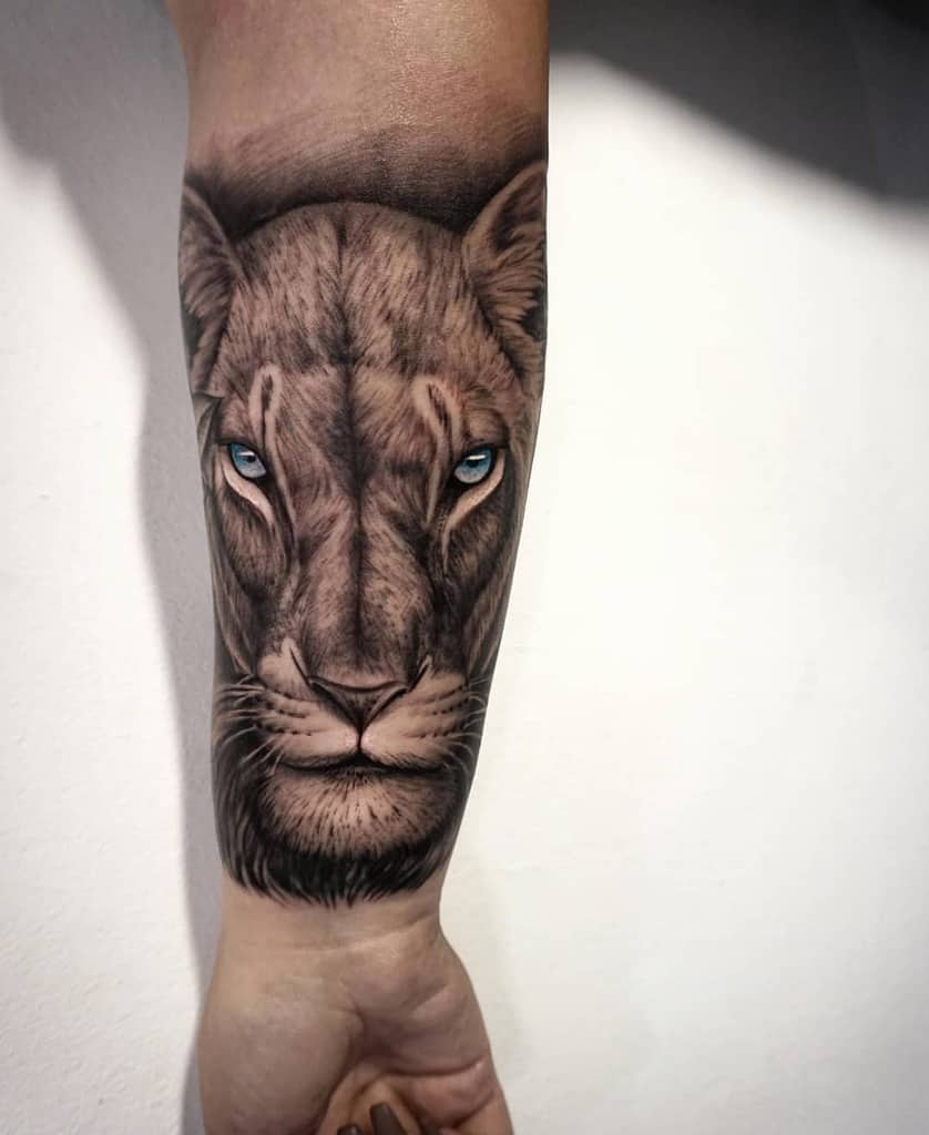 Hyper-realistic lioness tattoo on the forearm, featuring intricate shading, lifelike fur details, and piercing blue eyes for a bold look.