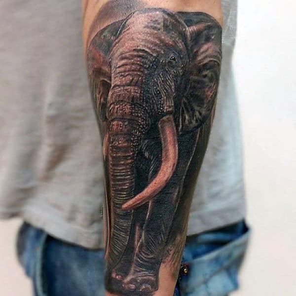 Realistic Elephant Tattoo Guys Arms