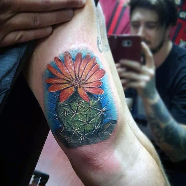 Realistic Flowering Cactus Plant Tattoo For Men On Bicep
