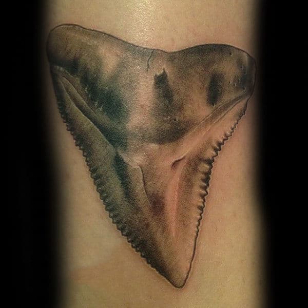 Realistic Guys Shark Tooth Forearm Tattoo