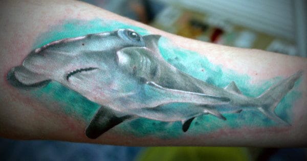Realistic Hammerhead Shark Watercolor Guys Tattoo Inspiration