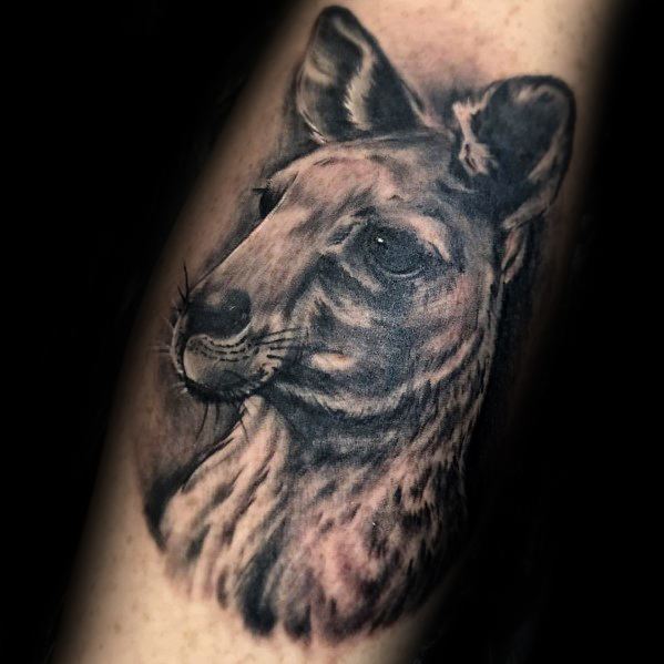 Realistic Kangaroo Male Tattoos On Arm
