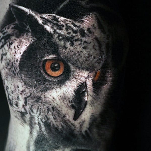 Realistic Mens Owl Head 3d Arm Tattoo