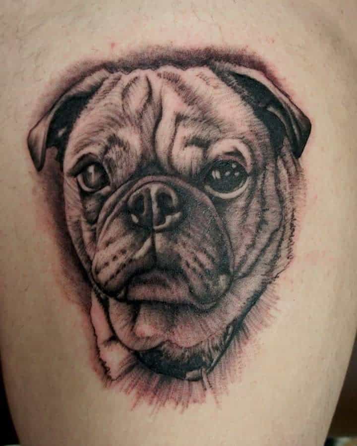 A highly detailed black-and-white tattoo of a pug's face, capturing the dog's wrinkles, big eyes, and expressive features