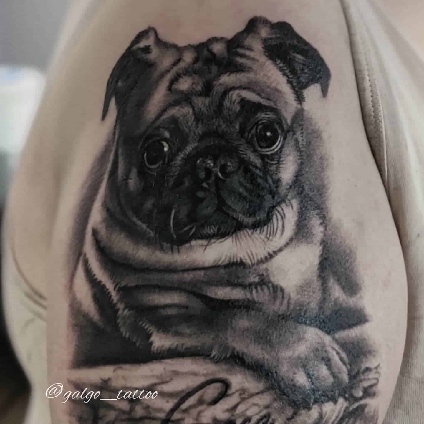 A realistic black-and-white tattoo of a pug with deep shading, capturing its adorable features and folds