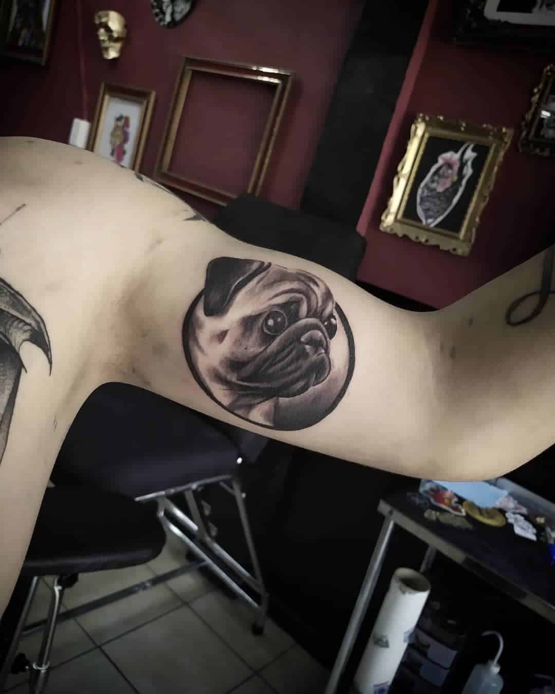 A realistic black-and-gray tattoo of a pug's face within a circular frame