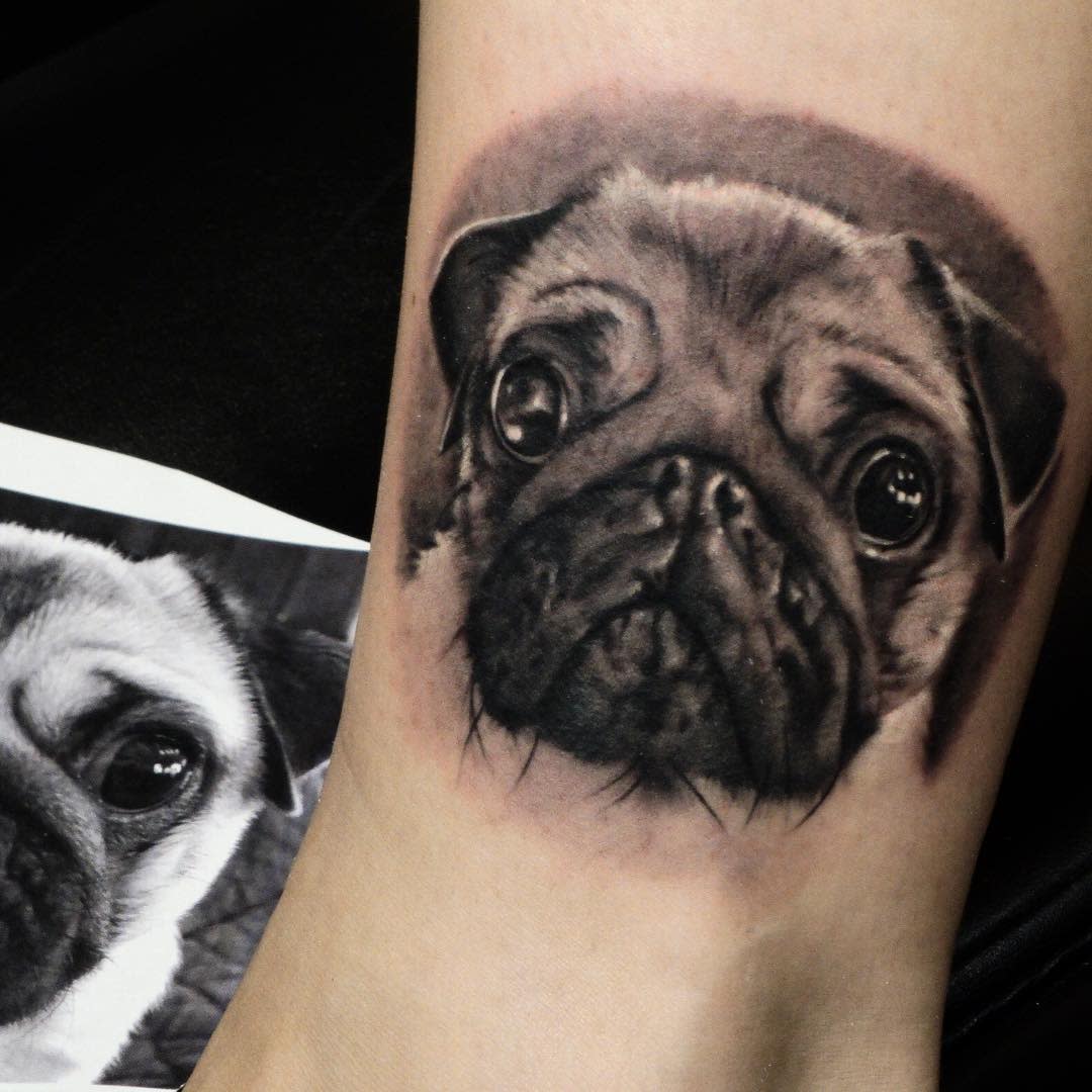 A realistic black-and-gray tattoo of a pug's face with intricate shading and detailed features