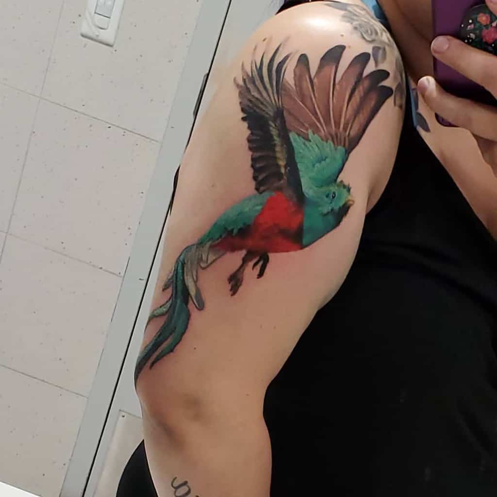 Realistic quetzal tattoo on the upper arm, featuring a vibrant green and red bird in mid-flight with detailed feathers and flowing tail