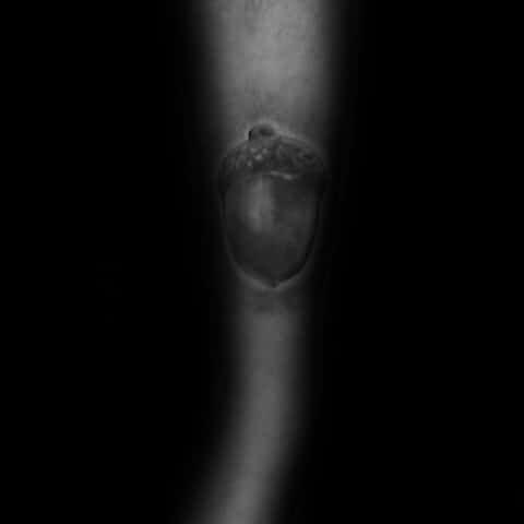 Realistic Shaded Black And Grey Acorn Tattoo For Gentlemen