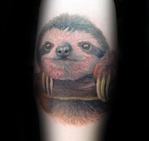 Realistic Sloth Face With Tree Branch Male Tattoos